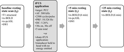 Transcranial focused ultrasound to the posterior cingulate cortex modulates default mode network and subjective experience: an fMRI pilot study